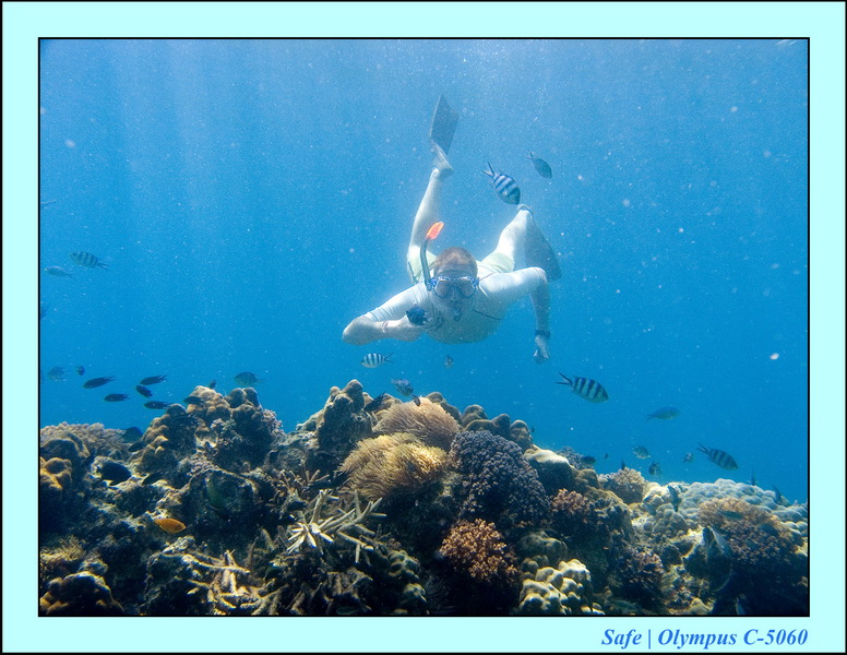 2006 - 07 - Perhentian - Plongee 166